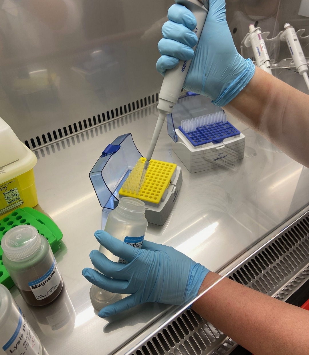 PCR Test, eine kritische Betrachtung