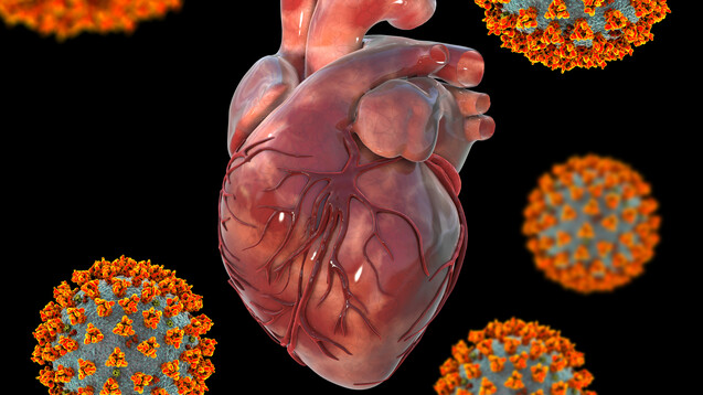 mRNA-Injektion: Gehäufte Todesfälle junger Menschen mit Herzmuskelentzündung (mit Video!)