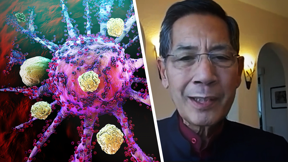 Prof. Bhakdi: Warum Covid-Impfung Kollaps des Immunsystems und Krebs-Explosion bewirkt